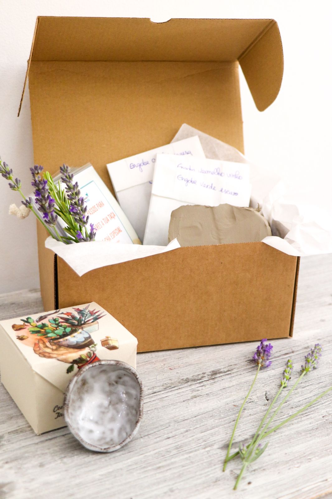 Mini Kit de Iniciação à Cerâmica